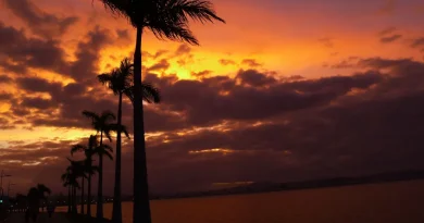 pôr do sol tropical ilha mágica coqueiros cores vibrantes