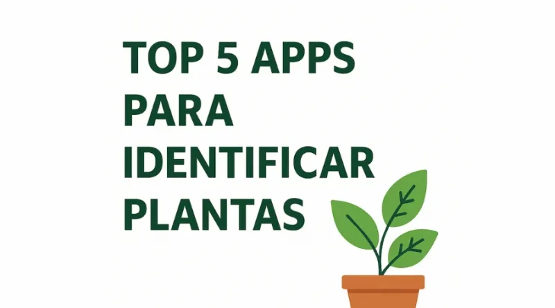 Top 5 aplicativos para identificar plantas.