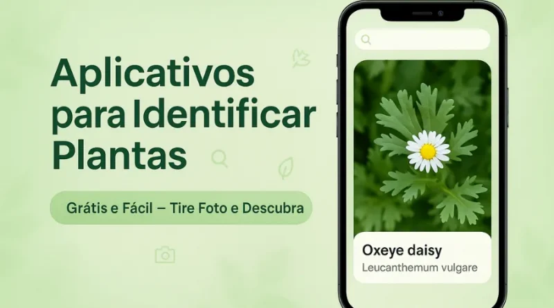celular com aplicativo de identificar plantas, foto de flor Oxeye daisy, texto "Aplicativos para Identificar Plantas"