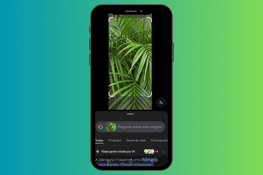 Smartphone com Google Lens identificando uma Palmeira Areca Bambu.