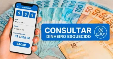Valores esquecidos com celular e notas de 50 e 100 reais para consulta pelo CPF.